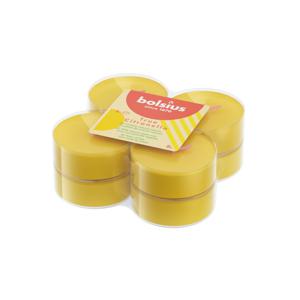 Bolsius maxilicht true scents citronella 8 stuks