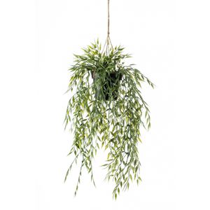 Bamboo