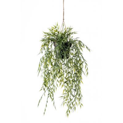 Bamboo