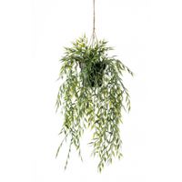 Bamboo