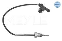 Sensor, uitlaatgastemperatuur 6148000048