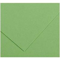Fiches Iris Apple Groen 50 x 65 cm