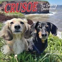 Crusoe de Teckel Kalender 2026 Mini
