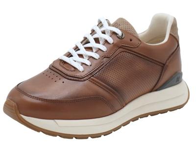 Berkelmans Hondo Berkelmans Hondo