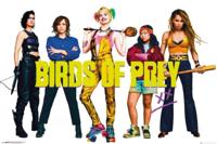 Poster Birds of Prey - Group 91,5x61cm