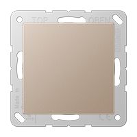 A 594-0 CH  - Cover plate for Blind plate A 594-0 CH - thumbnail