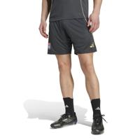 adidas Olympique Lyon Trainingsbroekje 2025-2026 Donkergrijs Goud Rood Blauw