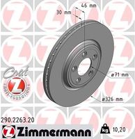 Remschijf Coat Z 290226320