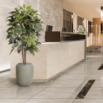 Scheflera Amate kunstboom 150cm