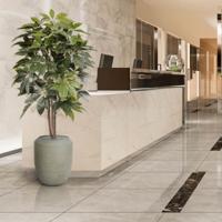 Scheflera Amate kunstboom 150cm