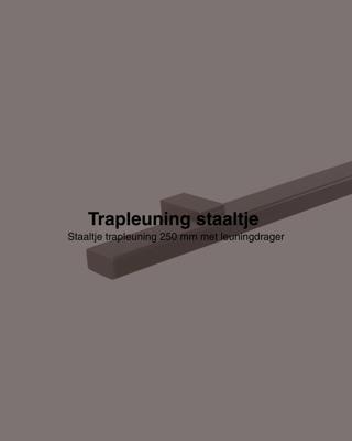 Staaltje trapleuning rechthoekig 40x20mm gun metal