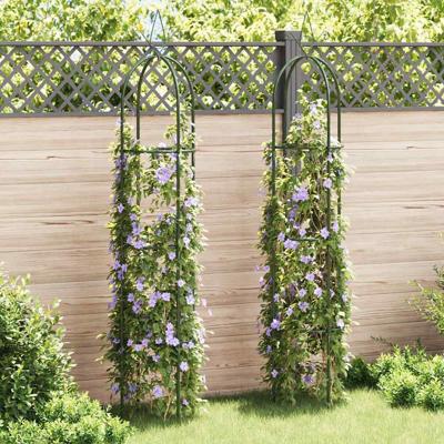 VidaXL Tuinboogtorens 2 st