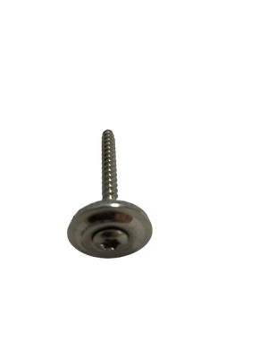 DakCover Daktrim RVS schroef + Neopreenring