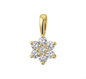 Hanger Ster geelgoud-diamant 0.14 Ct. 6 x 10 mm