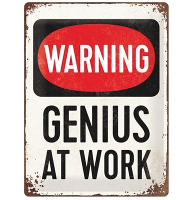 Genius At Work Reliëf Metalen Bord Genius At Work Reliëf Metalen Bord