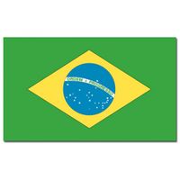 Vlag Brazilie 90 x 150 cm feestartikelen