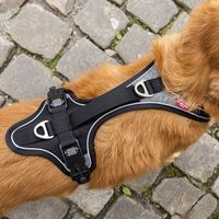 Curli Magnetic Belka Comfort Harness S Zwart Hond Vestharnas - thumbnail