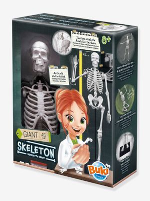 Skelet - BUKI meerkleurig