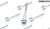 Schroef, inspuitstukhouder Dr.Motor Automotive, u.a. für VW, Seat, Skoda, Audi