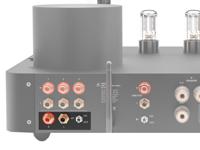 Fezz Custom option HT-input