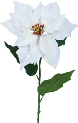 Everlands kunsttak poinsettia 67cm wit
