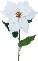 Everlands kunsttak poinsettia 67cm wit