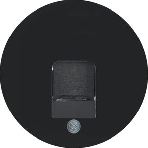 Berker centraalplaat computeraansluiting 1xRJ45 R1-R3 zwart 11702045