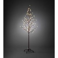 Konstsmide 3378-600 150 cm Energielabel: G (A - G) Warmwit Bruin