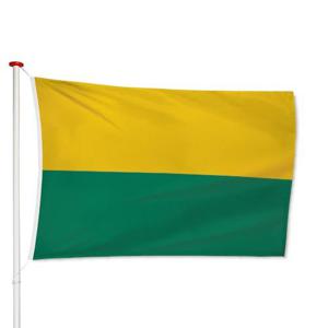 Vlag Den Haag