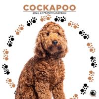Cockapoo Kalender 2026