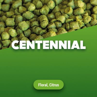 Hopkorrels Centennial 2024 5 kg