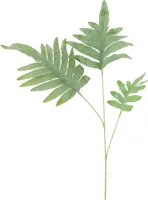 Countryfield kunsttak phlebodium 108cm groen