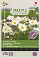 Zaden margriet 0,1 gram - Buzzy Zaden margriet 0,1 gram - Buzzy
