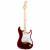 Fender Japan Richie Kotzen Stratocaster MN Transparent Red Burst elektrische gitaar met gigbag