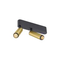 SLV OpbouwspotGrip! S 2-lichts goud 2700K - 1009050