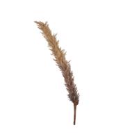 Pluim pvc pampas l7b7h103 cm bruin - thumbnail