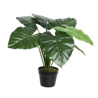 Kunstplant Taro h52cm