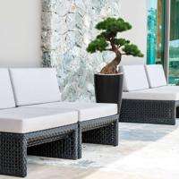 Pinus Bonsai x5 deluxe kunstplant op voet 80cm - UV bestendig