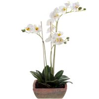 Witte orchidee kunstplant in terracotta pot 50 cm   - - thumbnail
