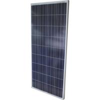 Phaesun Sun-Plus 165 P Polykristallijn zonnepaneel 165 Wp 12 V