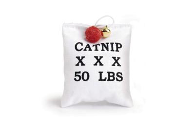 Canvas zakje met catnip 10 - Beeztees