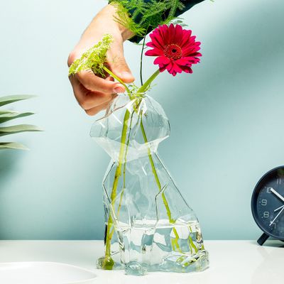 Hond Vaas - Transparant Groot