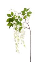 Wisteria branch white 145 cm Emerald - Emerald