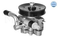 Servo pomp 29146310009