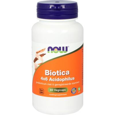 Biotica 4x6 Acidophilus