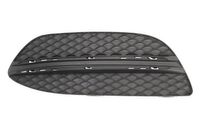 Ventilatiegrille, bumper 6502073521915P