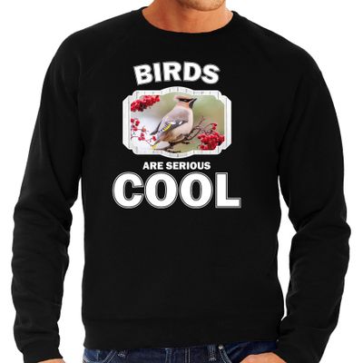 Dieren pestvogel sweater zwart heren - birds are cool trui