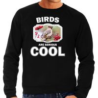 Dieren pestvogel sweater zwart heren - birds are cool trui