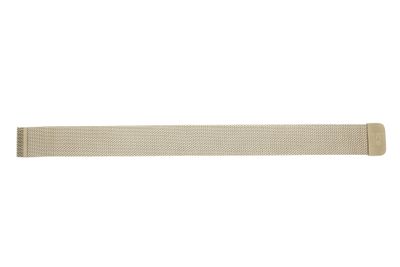 Horlogeband Ice Watch 012704 / 012705 / 012706 / 012707 Roestvrij staal (RVS) Doublé 20mm