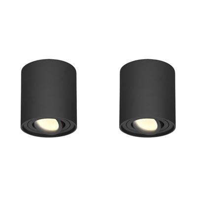 Set van 2 Ray LED opbouwspots - Rond - Dimbaar - 4 Watt 345 lumen - 2700K warm wit - Kantelbaar - GU10 - Plafondspot - IP20 Voor binnen - Zwart